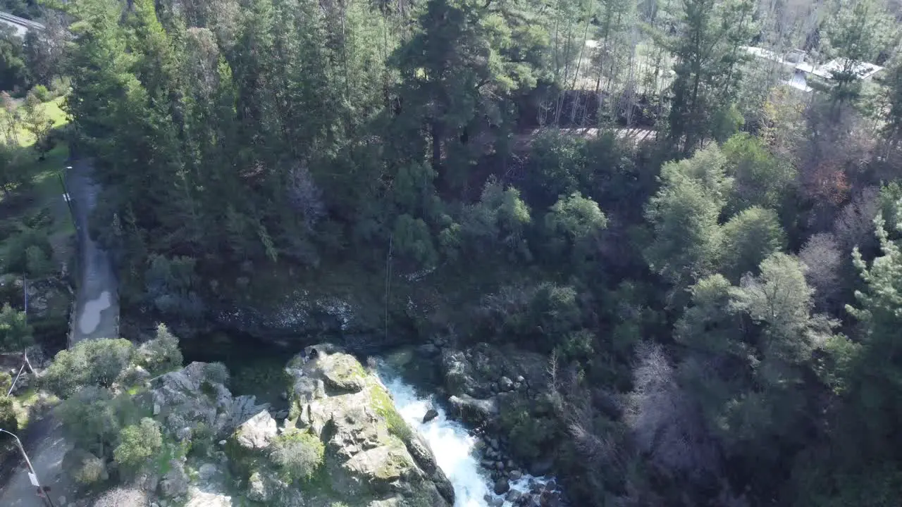 flight over the banks of a beautiful river and trees