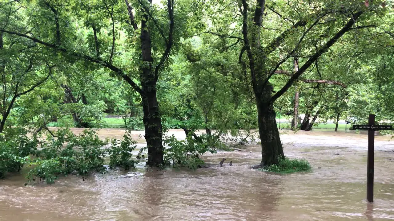 A flash flood caused by heavy rains causes a tree to uproot on the banks of Rock Creek in Rock Creek Park near Pierce Mill