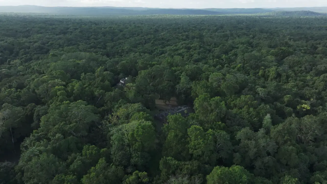 Lush green Guatemala jungle with maya ruins at Guatemala aerial