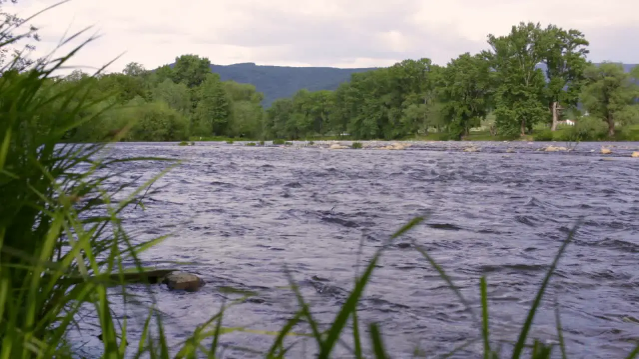 Flusswasser-Stromlandschaft Gebirgsfluss Der In Der Nähe Grüner Bäume Fließt