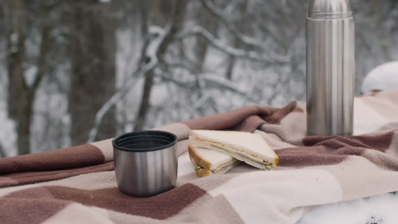 Close Up View Of A Sandwich Thermos And Tea On A Checkered Blanket In A Snowy Forest