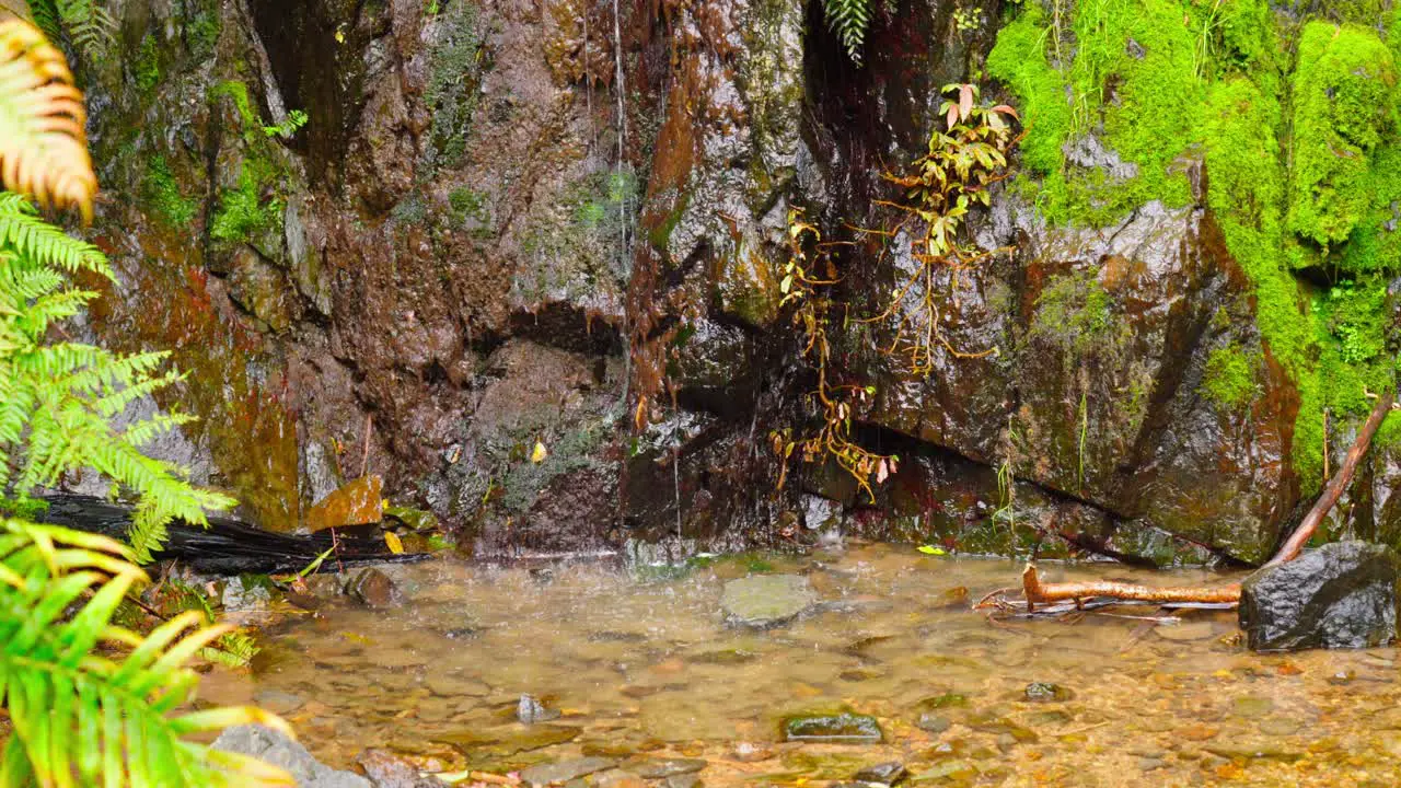 Nature walks in rural Auckland small waterfall