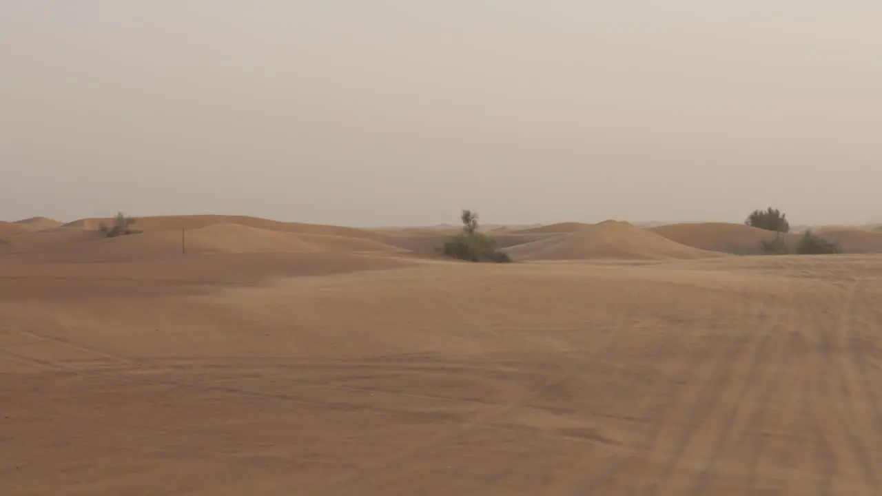 Wind Weht über Sanddüne In Der Wüste