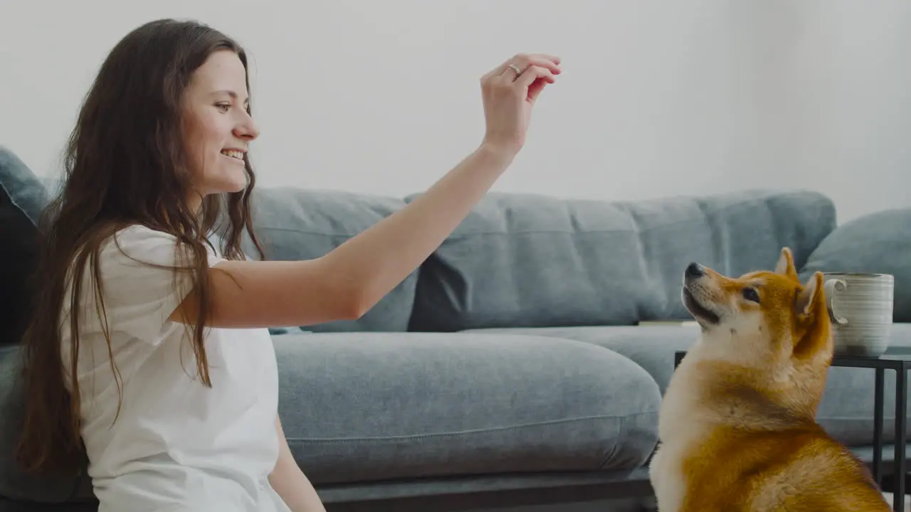 Linda Chica Acariciando Y Alimentando A Su Perro En Casa