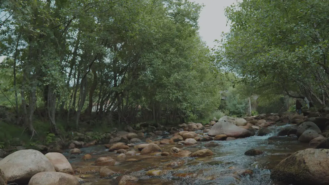 Small river full of rocks in the middle of nature