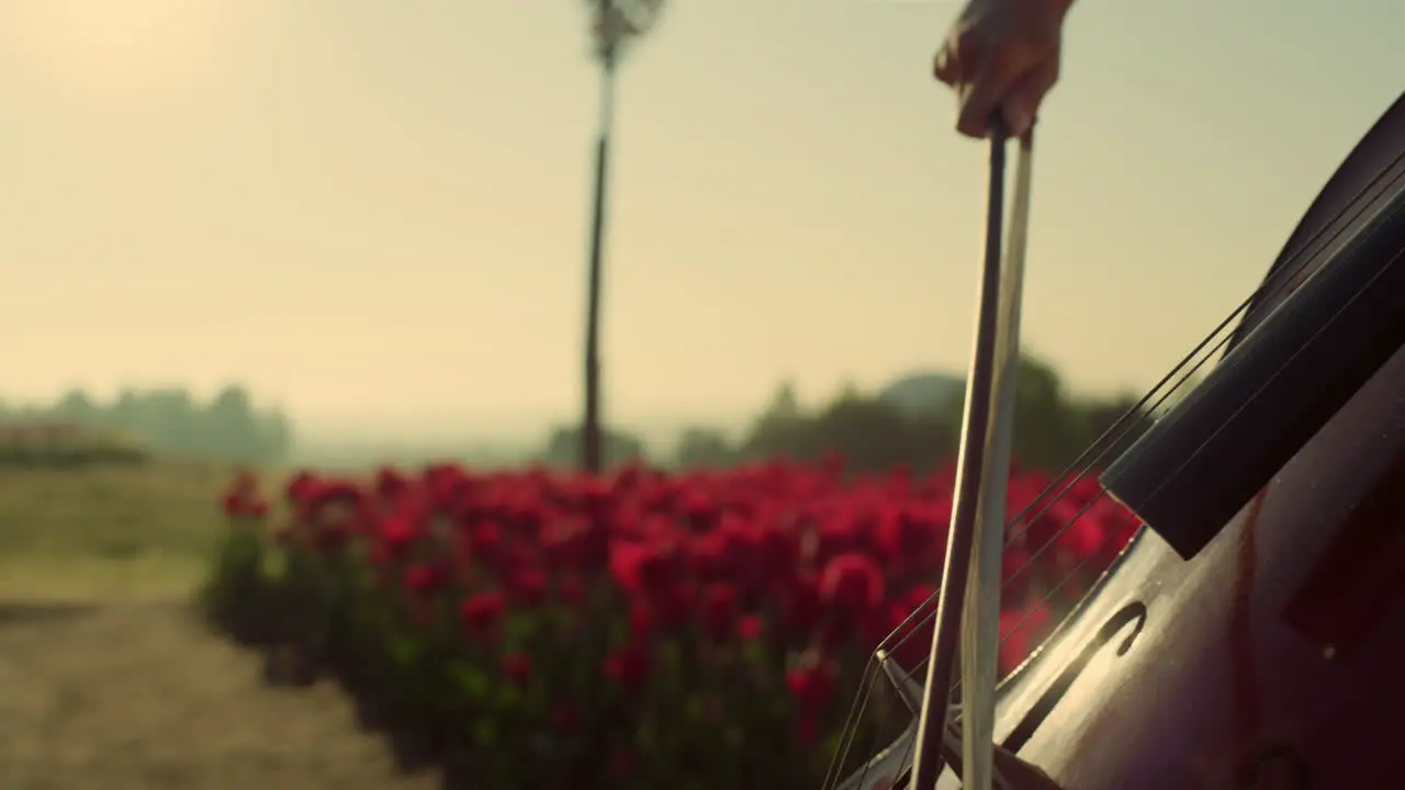 Cuerdas De Primer Plano Con Arco En Manos De Mujer Chica Apasionada Tocando El Violonchelo Al Aire Libre