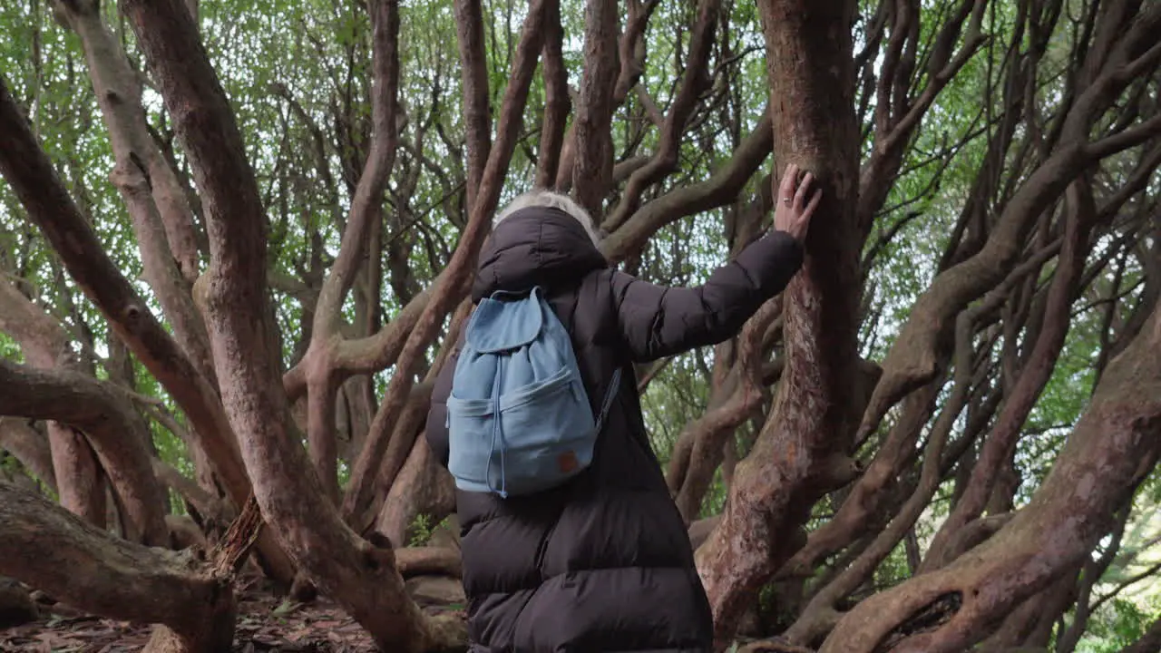 Woman walking through woods touching trees stepping over the roots