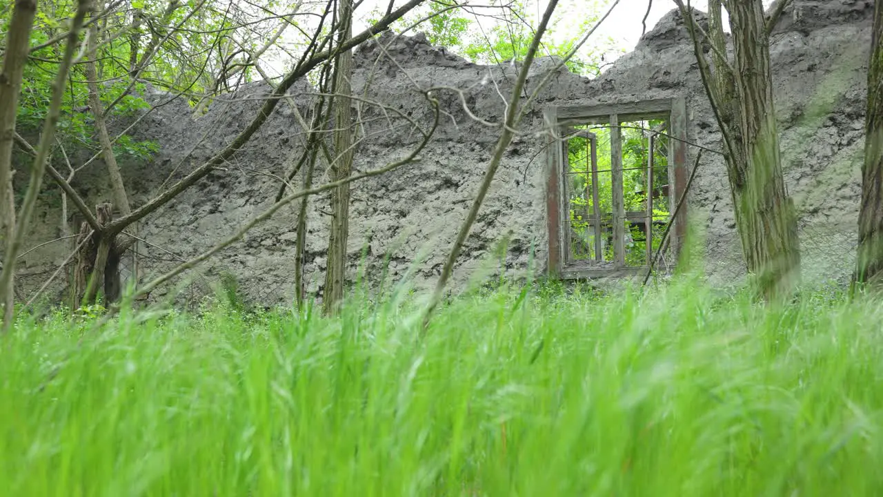 window of an old abandoned destroyed cottage in the woods camera moves slowly right