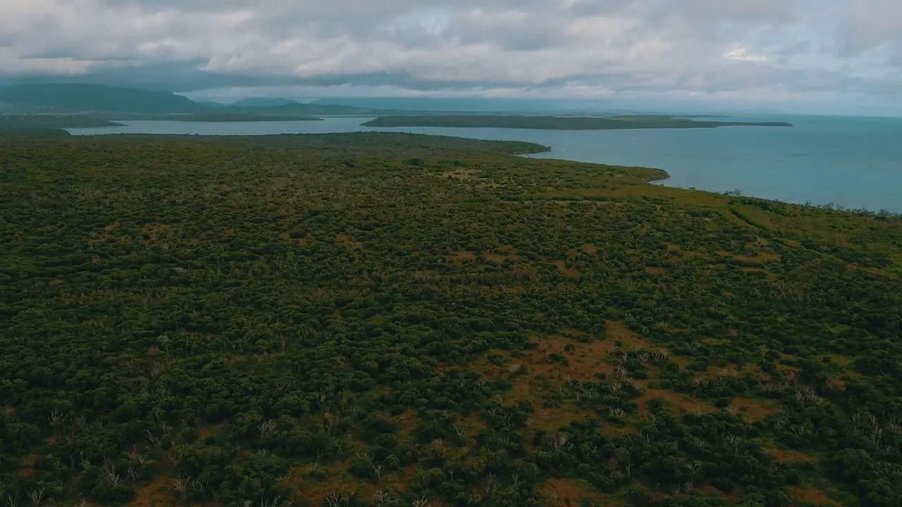 Fly over a forest toward the sea and some island during a cloudy day