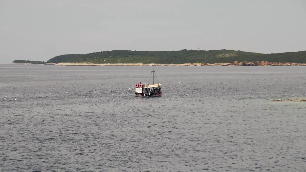 Trawler chased by seagulls looking for scraps