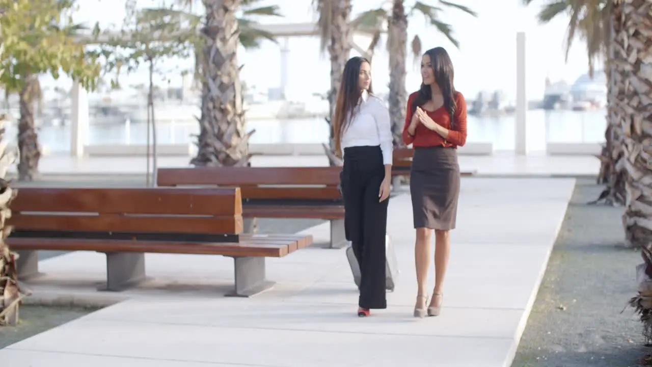 Two elegant ladies walking and chatting