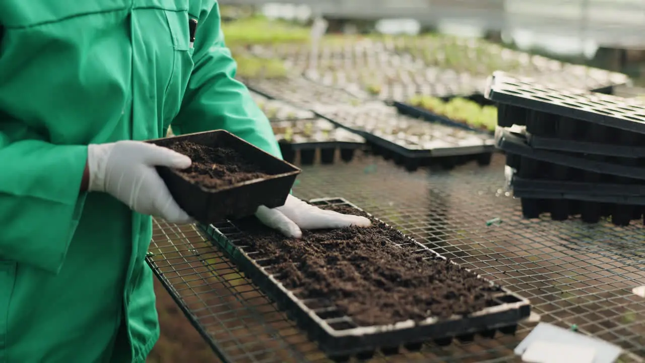 Greenhouse hands of farmer