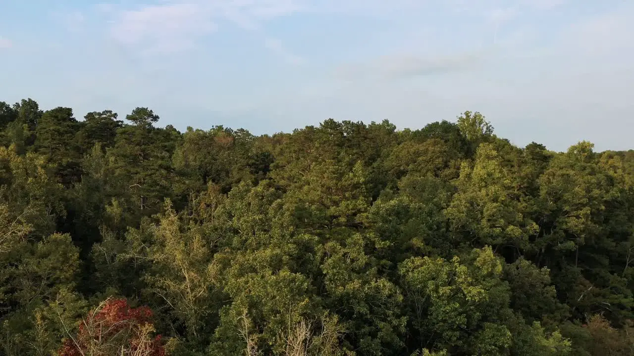 Ascending fly over at the lake