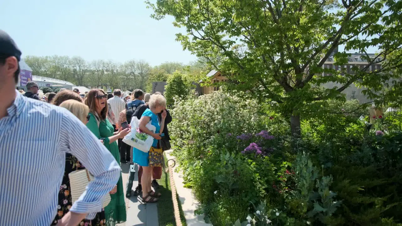 People looking into one of the exhibition gardens at the Chelsea flower show