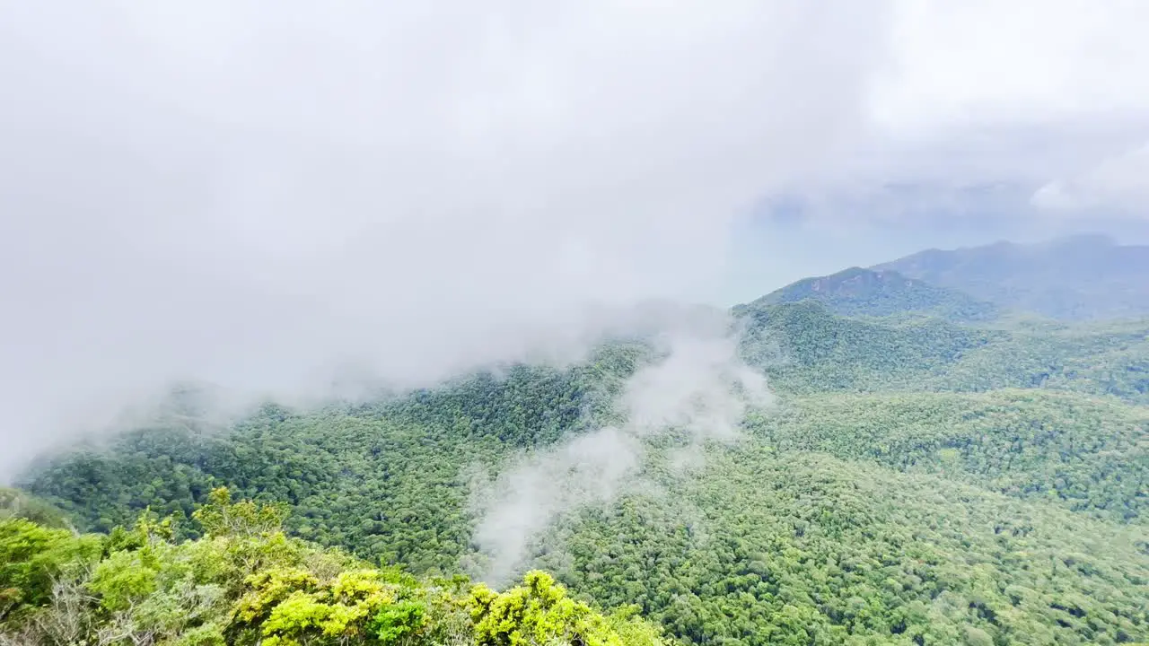 A panoramic shot of nature captured in Langkawi