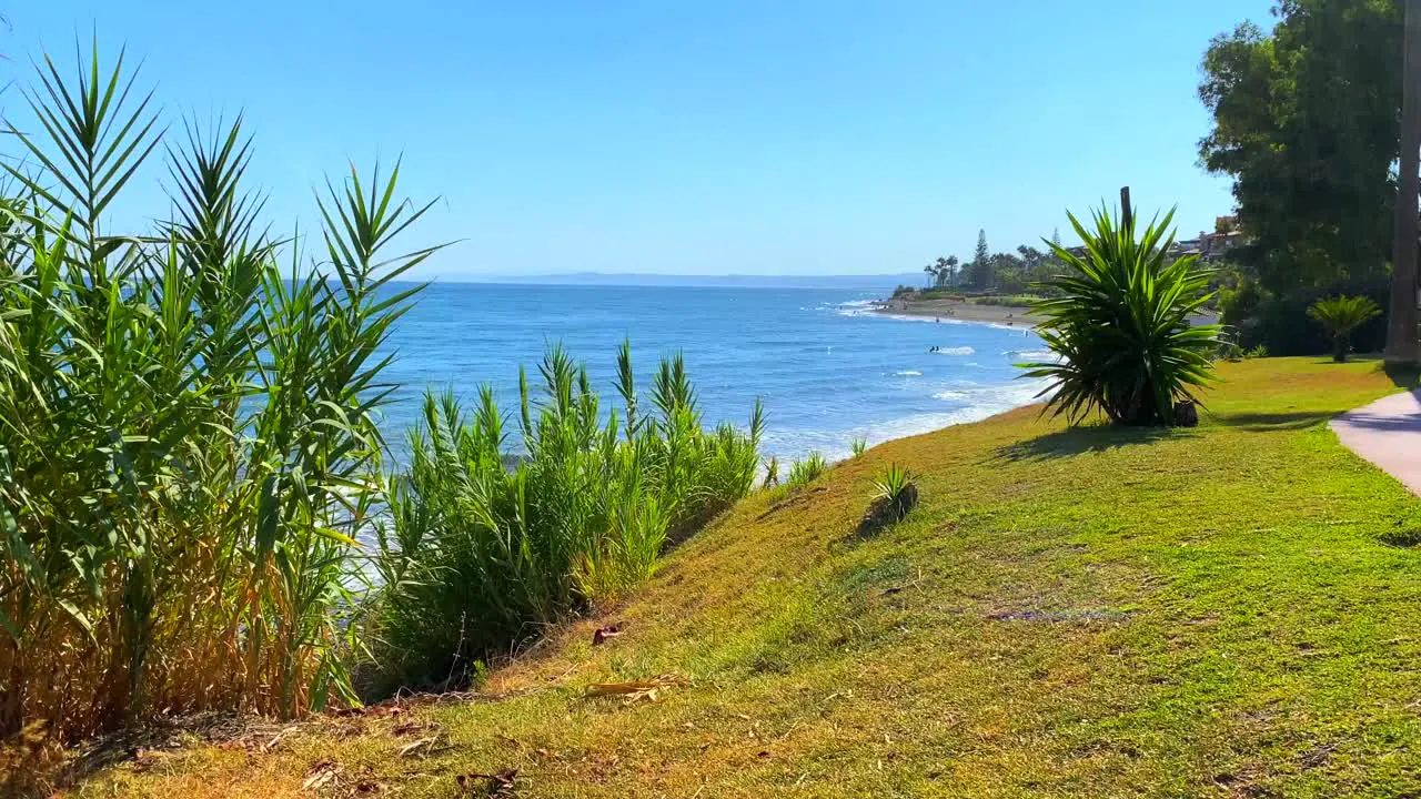 Beautiful holiday destination blue sky and sea view with palm trees and green grass in Marbella Estepona Spain 4K tilting up