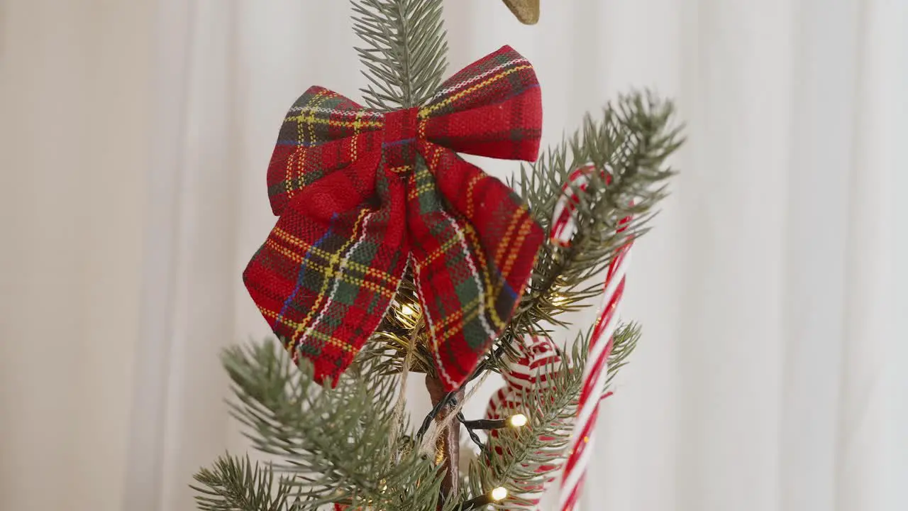 Tartan bow on Christmas festive pine branch