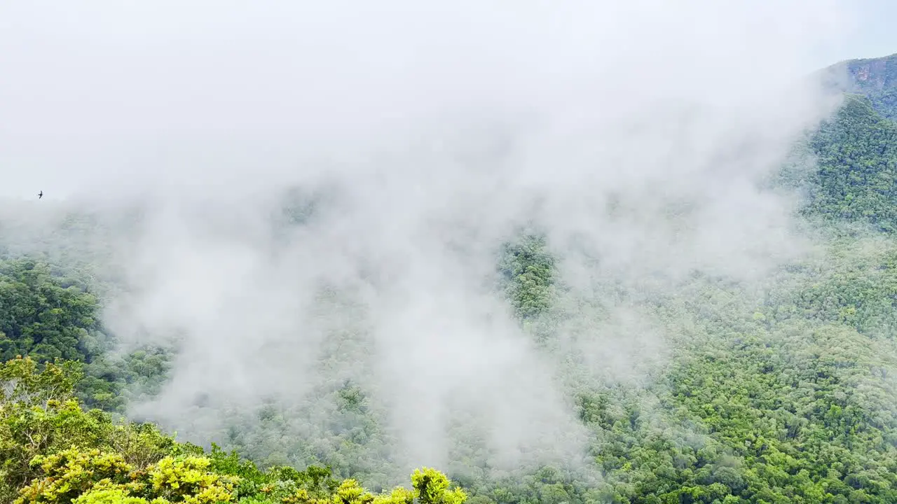 A shot spectacular of fog rising above the hills in Langkawi