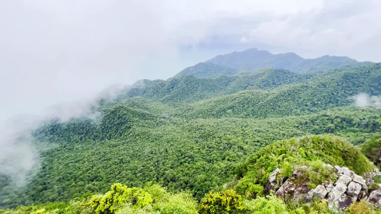 Aerial view of endless lush hills of Langkawi which feels like paradise