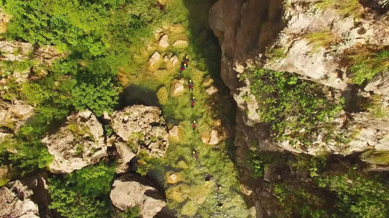 People swimming in river  green nature and rocks