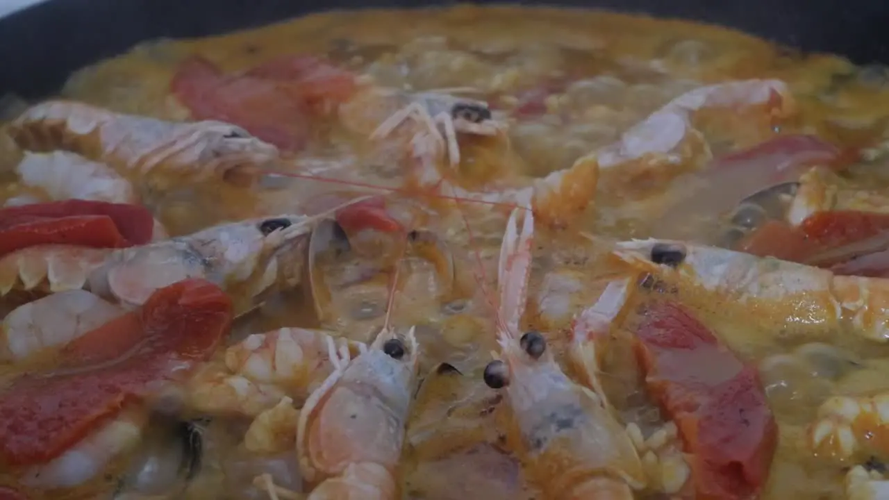 Closeup cooking of traditional spanish dish paella