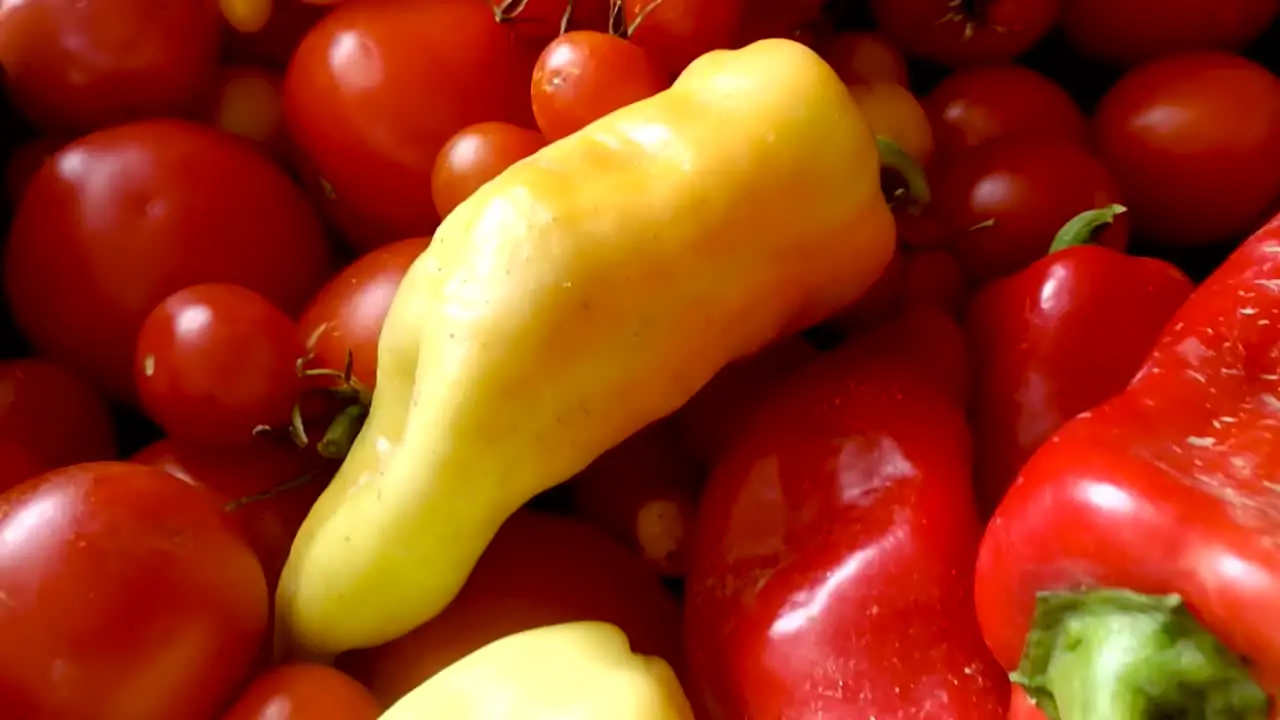 Variety of homegrown organic colorful peppers and tomatoes DOLLY FORWARD