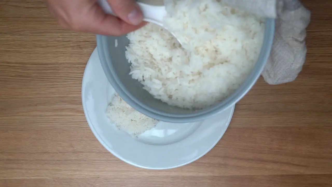 freshly cooked rice from the rice cooker is served on a plate