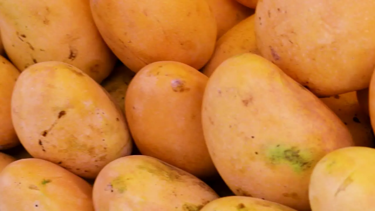 fresh organic testy mangoes from farm close up from different angle