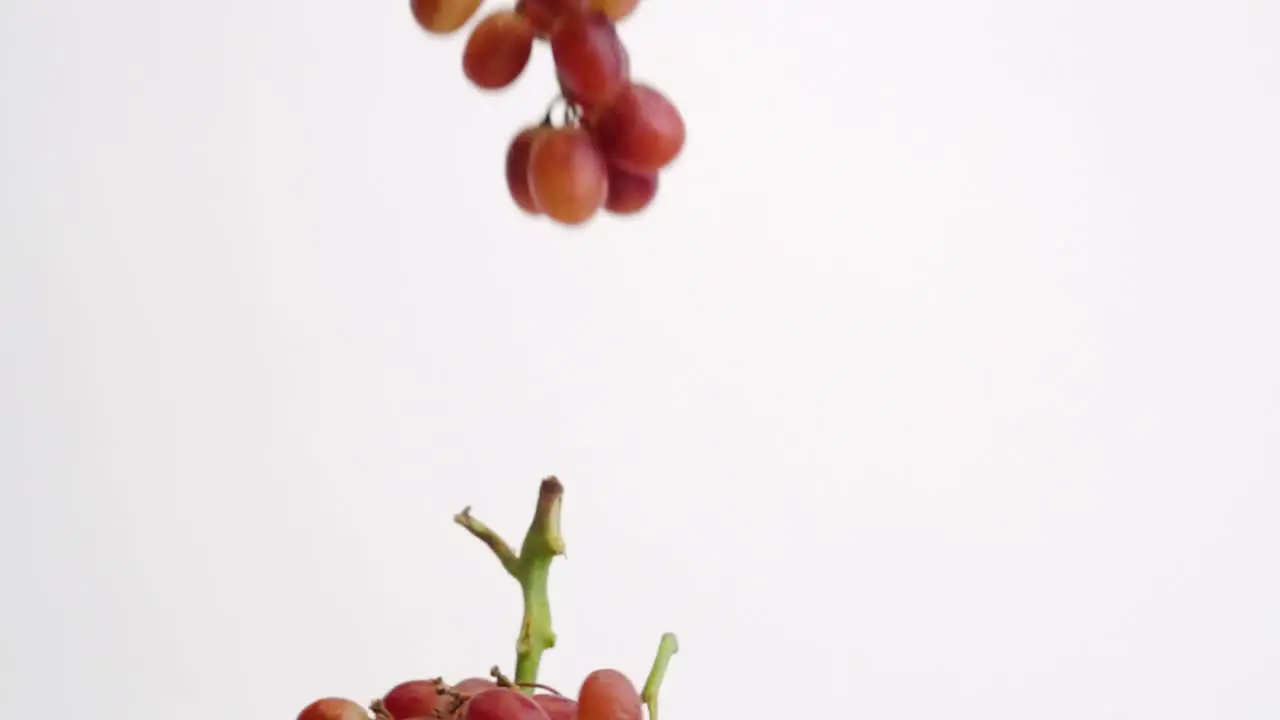 Bunches of plump red grapes on the vine raining down on white backdrop in slow motion