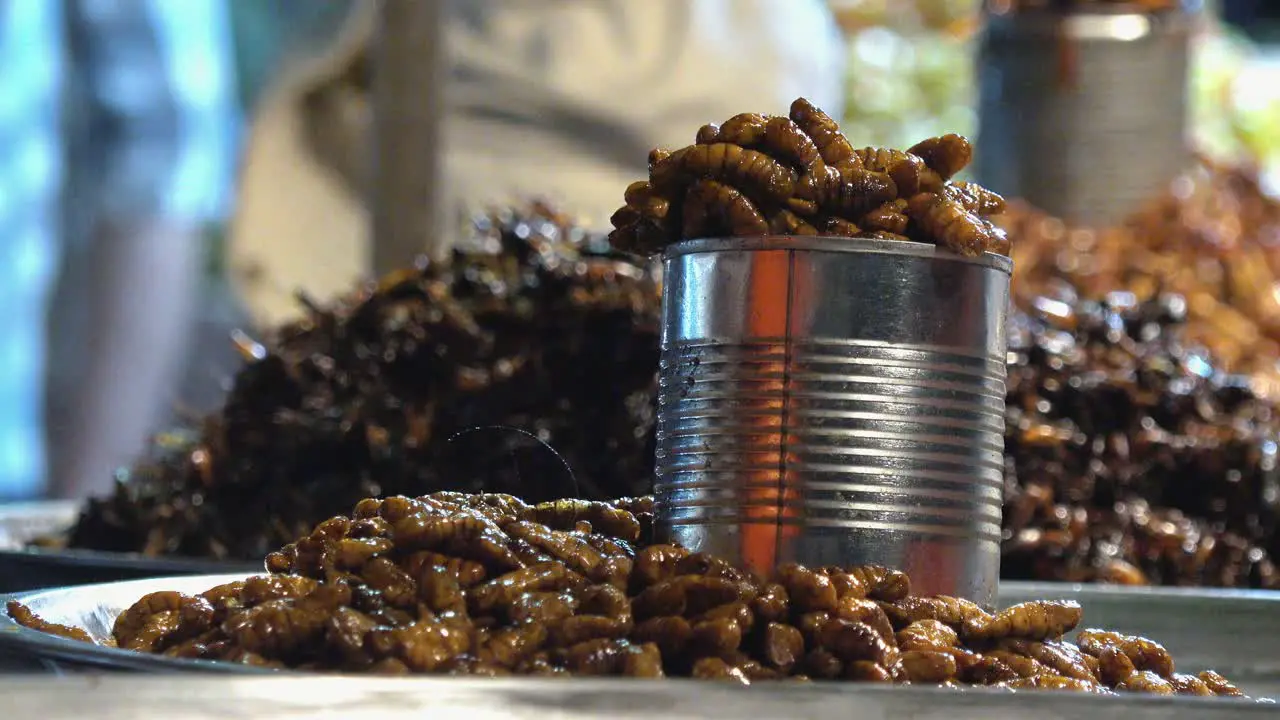 Picking Fried Insects off a Tray at the Night Market