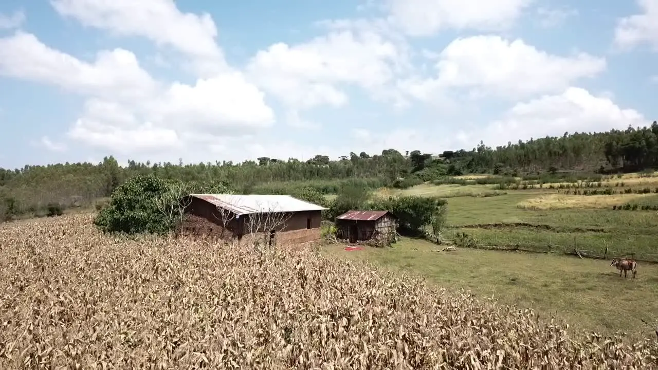 Drone flying over a small farm in Ethiopia