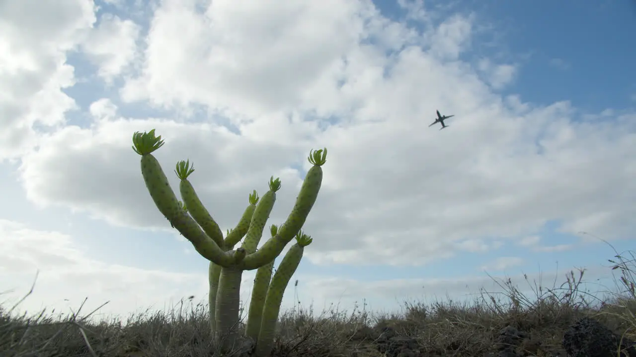 Flying plane against the blue sky