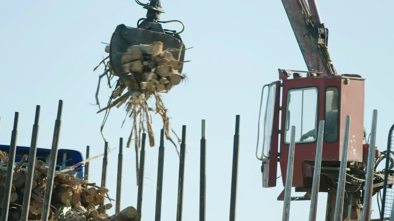 Crane with claw arm lifts and drops eucalyptus logs on truck 60fps