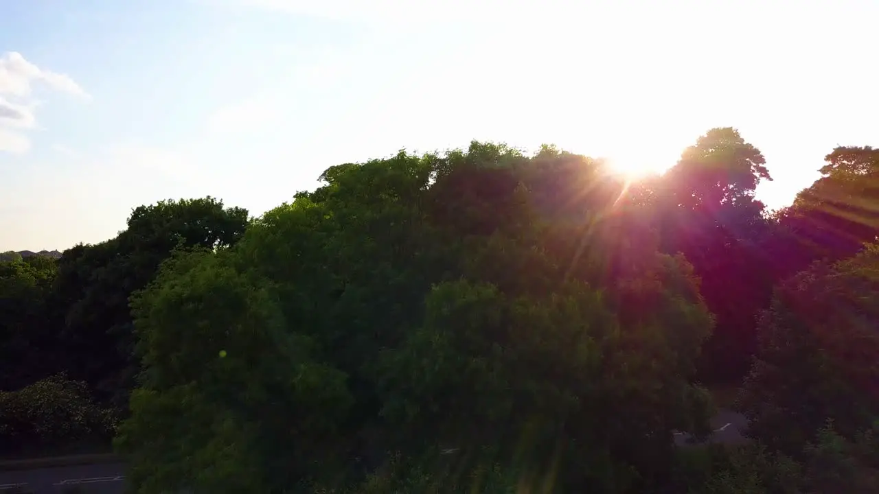 Suburb England drone going up from forest at sunset