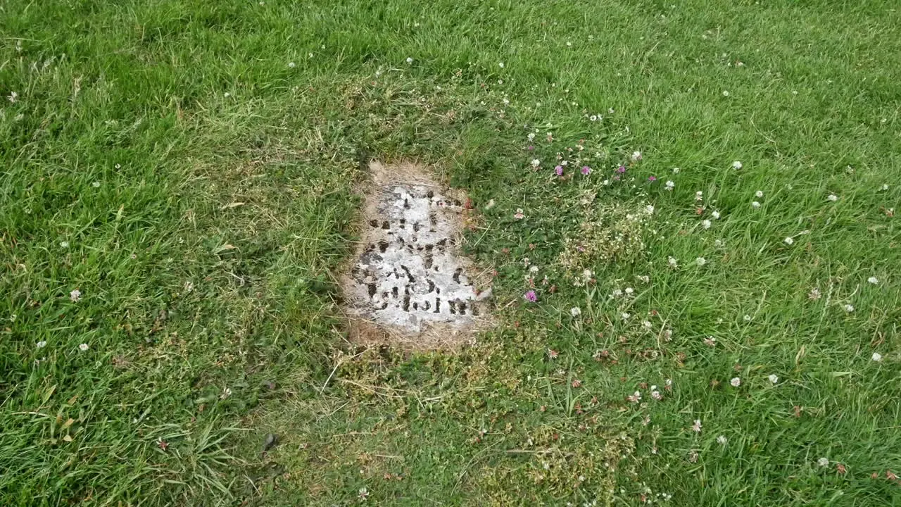 Ireland Clonmacnoise Partly Buried Grave Marker Zoom In