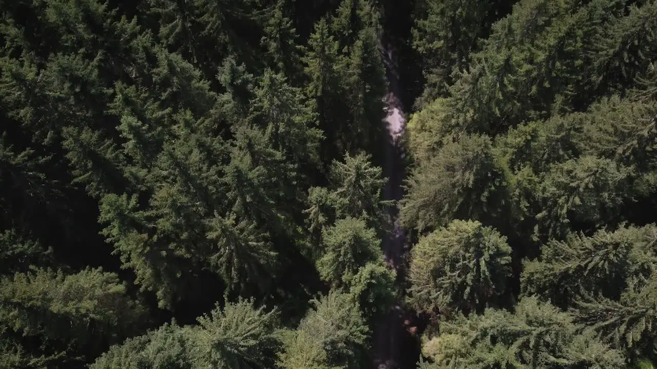 Droneshot of a forest in Switzerland German Switzerland