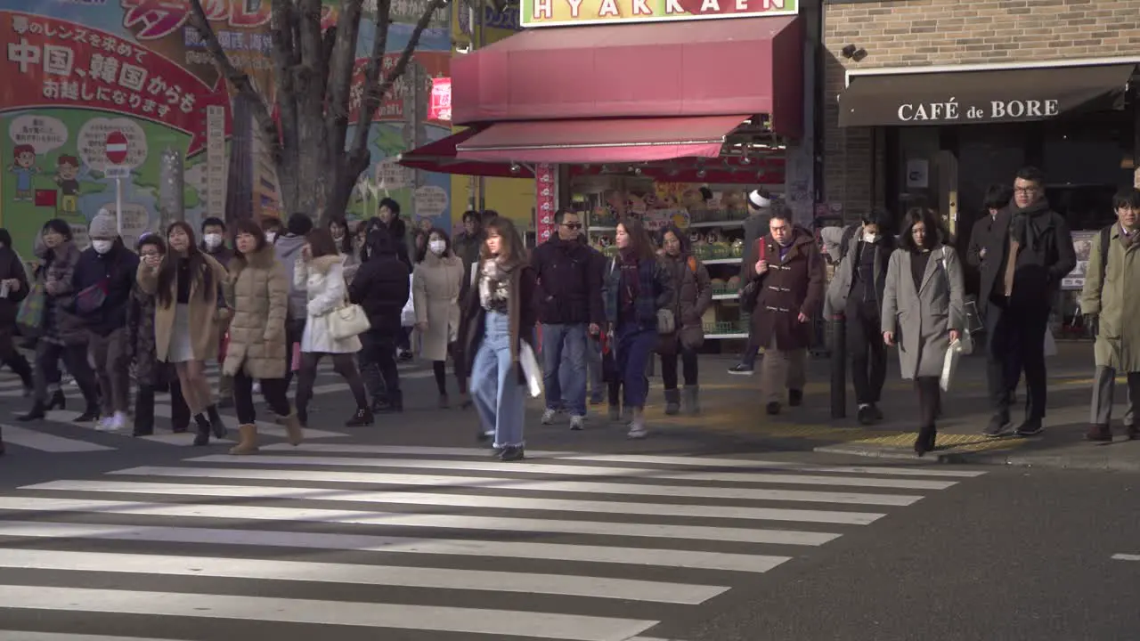 Crowd Crossing the Road in Tokyo