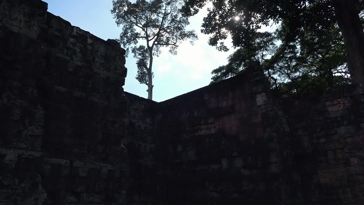 Sun Shining Through the Trees At Angkor Wat Temples