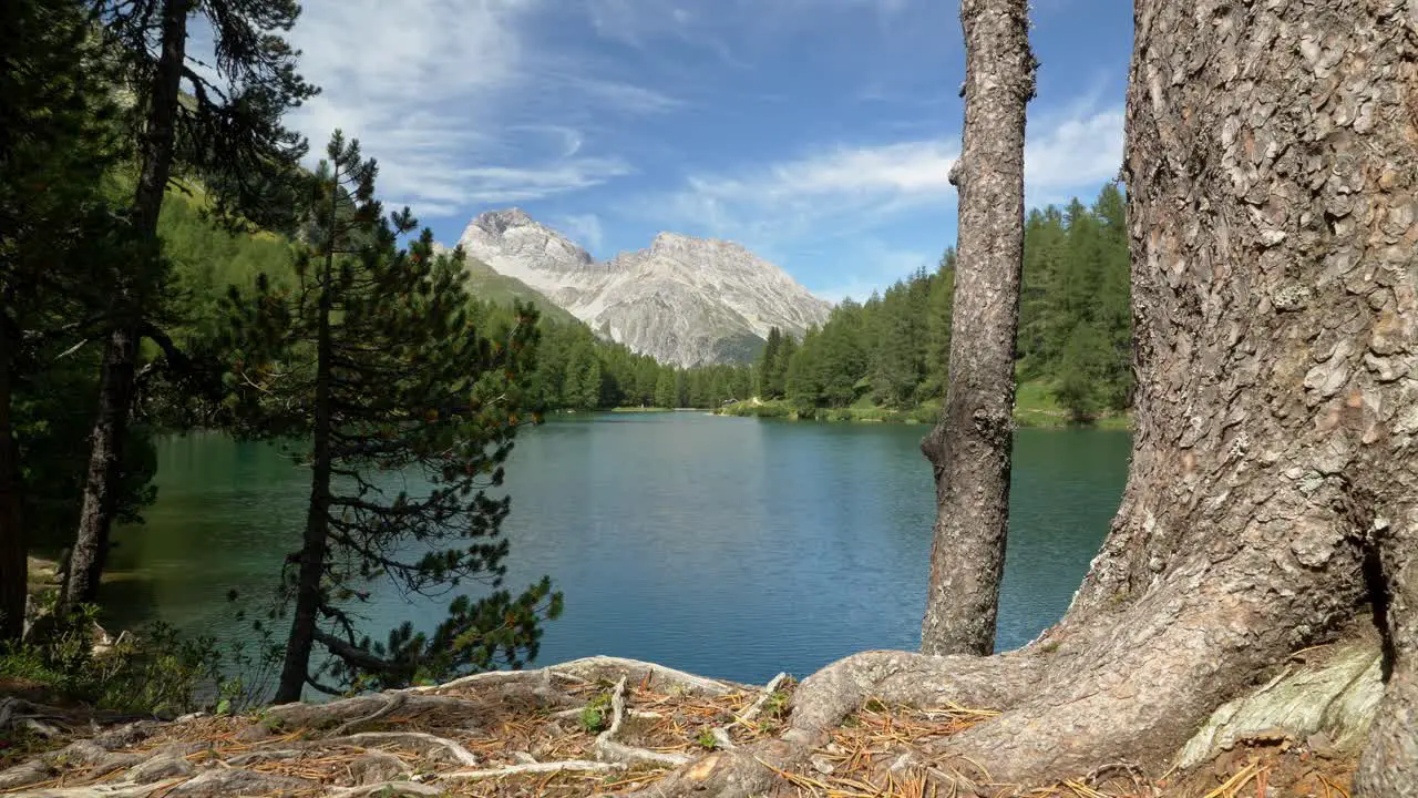 Small mountain lake in Switzerland in summer