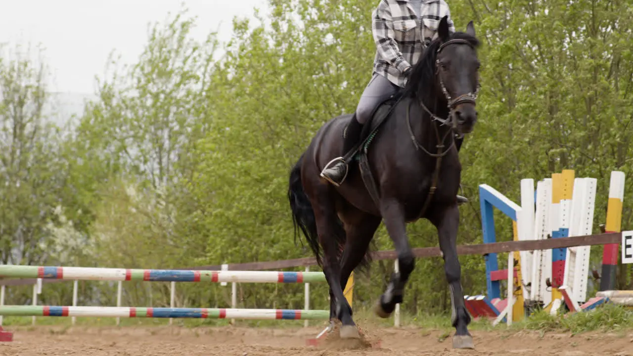 Mujer Joven Y Caballo Negro En Una Pista De Obstáculos