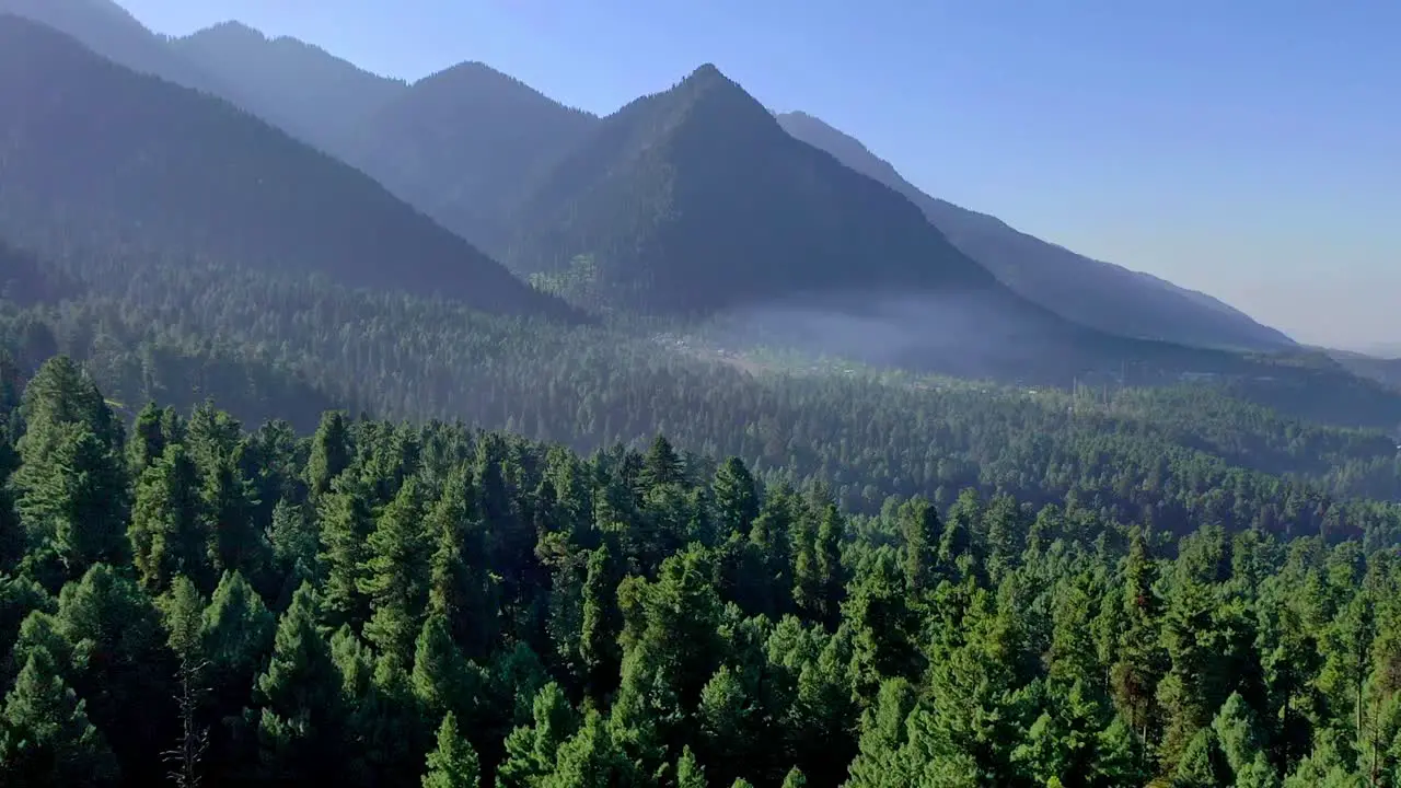 aerial drone view droness going uphill where there are lots of big bushes