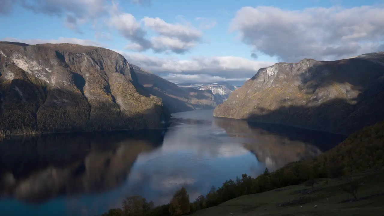 A view to a fjord with moving clouds and lambs in the foreground