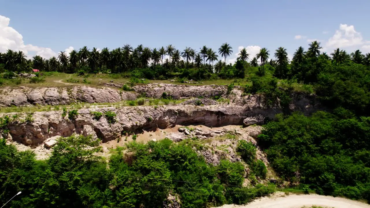 Drone going on top of the hill with a lot of coconut trees