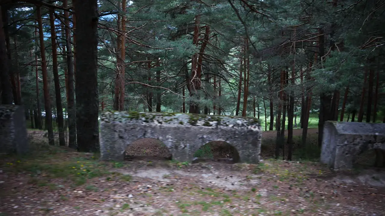 A row of old concrete blocks at the side of the path