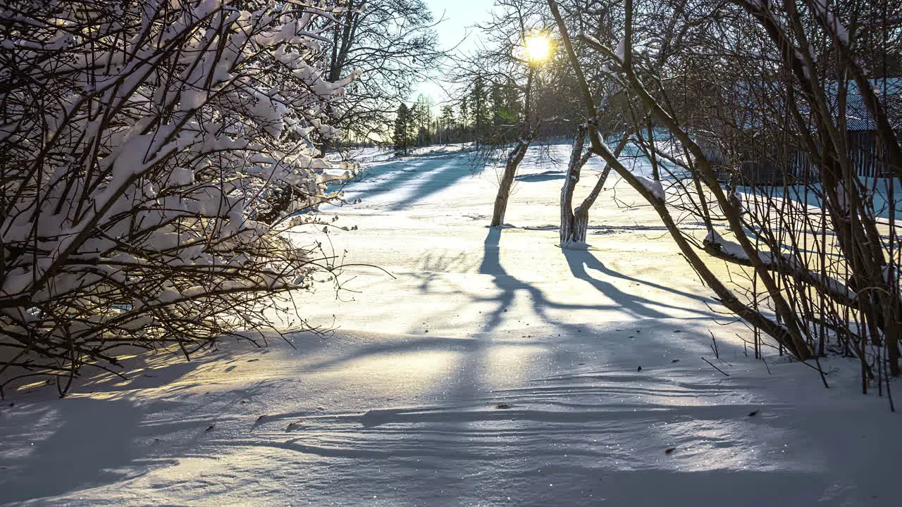 Frozen nature with snow during sunset in forest of Riga Latvia time lapse