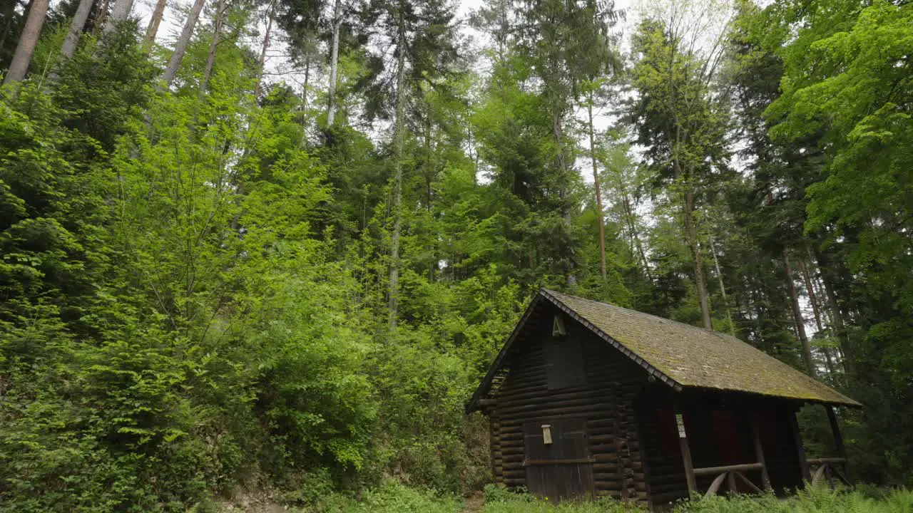 Zooming shot of cabin in woods in Black Forest Germany