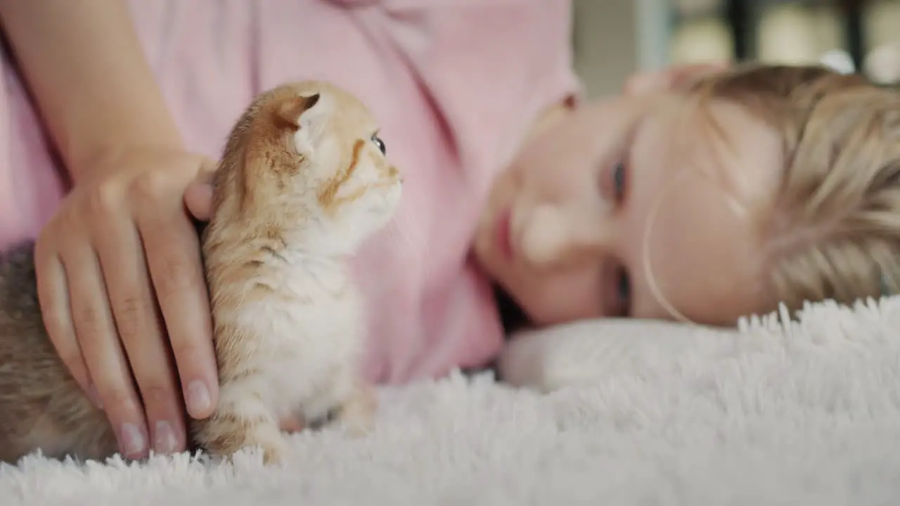 The child plays with a ginger kitten lies on the floor next to the pet