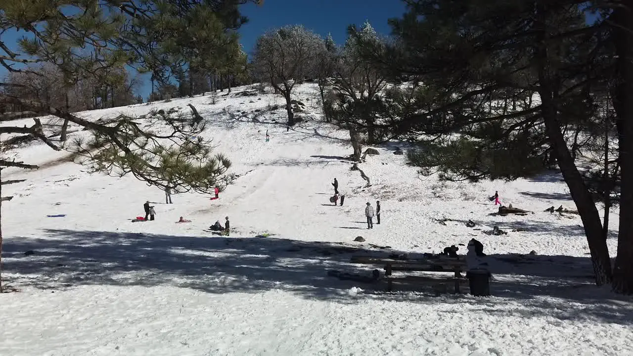 People sledding on a large snowy hillside outside of San Diego after a winter storm