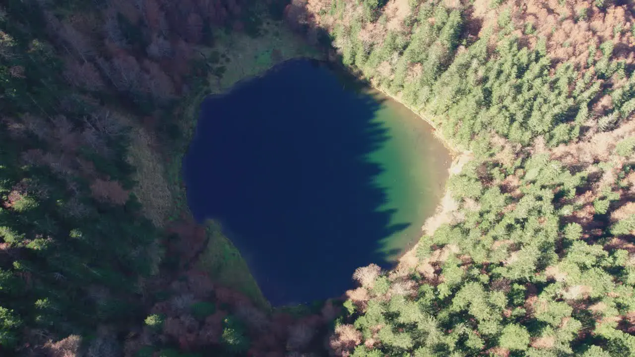 Aerial view of a small alpine lake surrounded by green forest in the French Pyrenees mountains