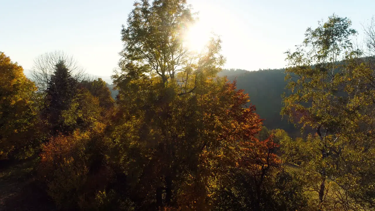 Aerial View Sunrise Sunset Over Of Forest 2